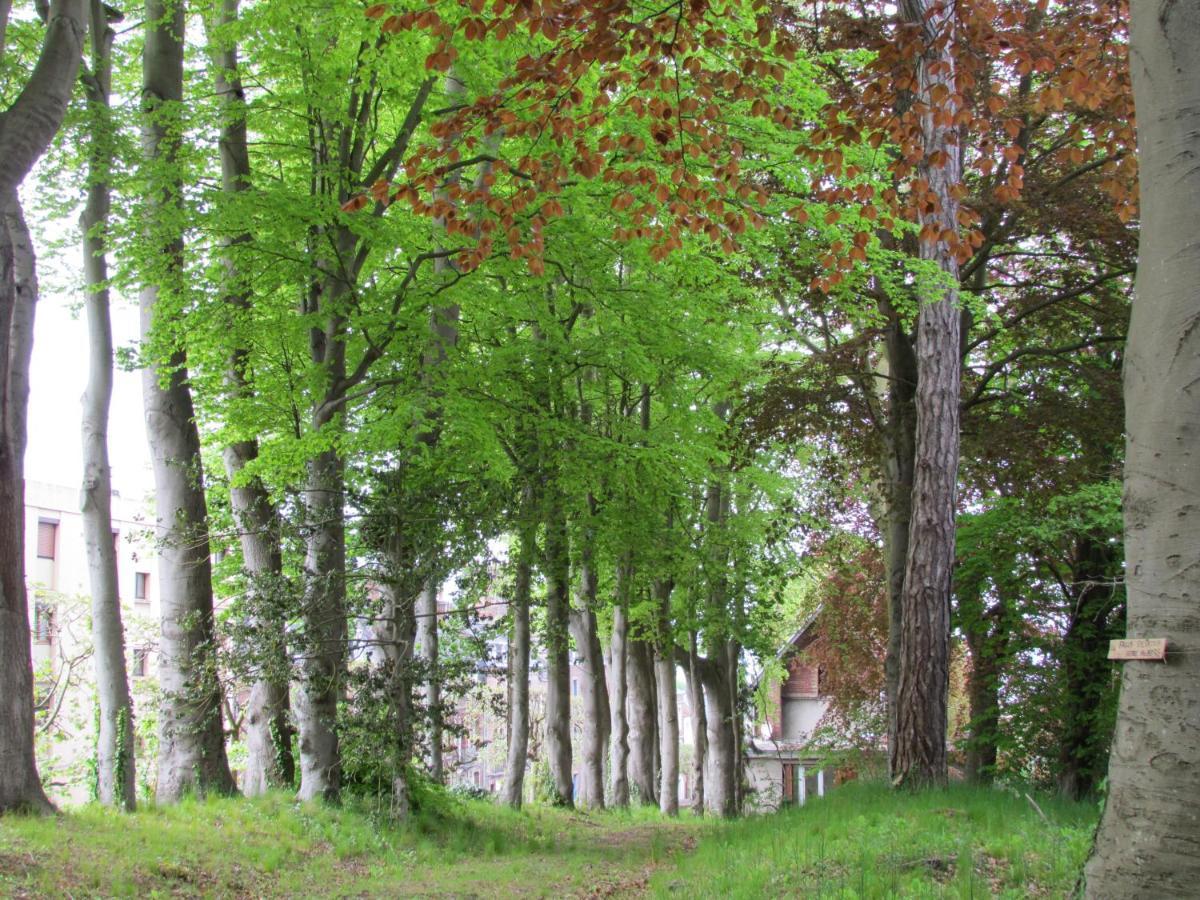 Le Domaine Des Roches, Auberge Collective Villa Dieppe Exteriör bild